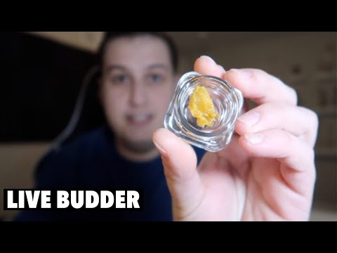 Dabbing LIVE Budder (Concentrates explained)