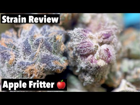 Apple Fritter (WEED STRAIN REVIEW)