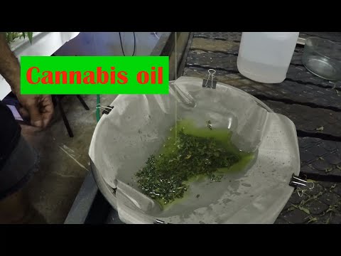 Cannabis oil – Its just that easy