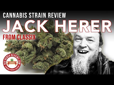 Classix |  Jack Herer Strain Review | 21.98% THC!