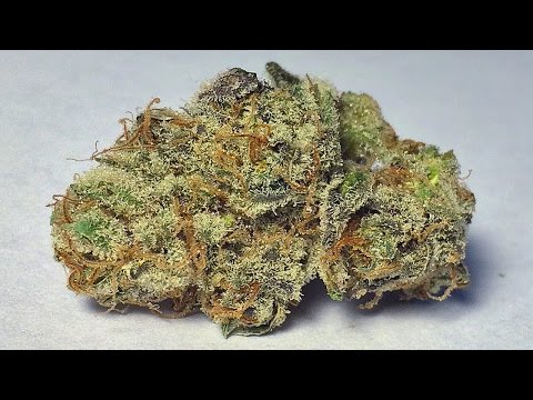 "Cookies & Cream" – (Strain Review)