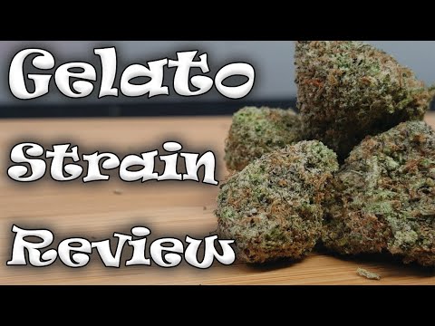 Gelato Cannabis Strain Review