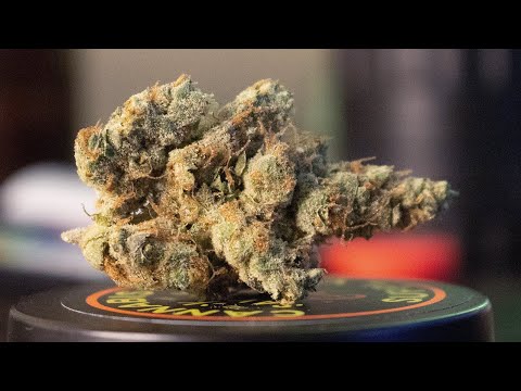 "GMO" – (Strain Review)