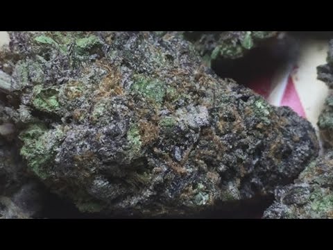 GRANDDADDY PURPLE STRAIN REVIEW!