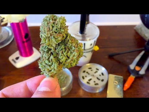 Green Crack Strain Review & Info by GreenBox Grown