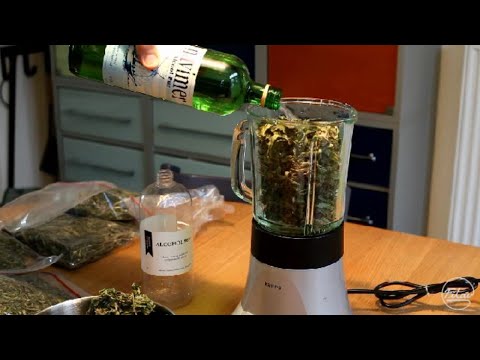 Making cannabis oil using the cold method