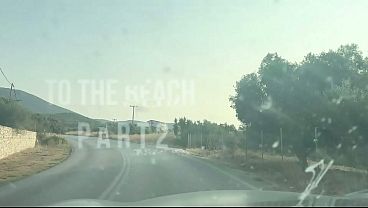 To the Beach Part 2